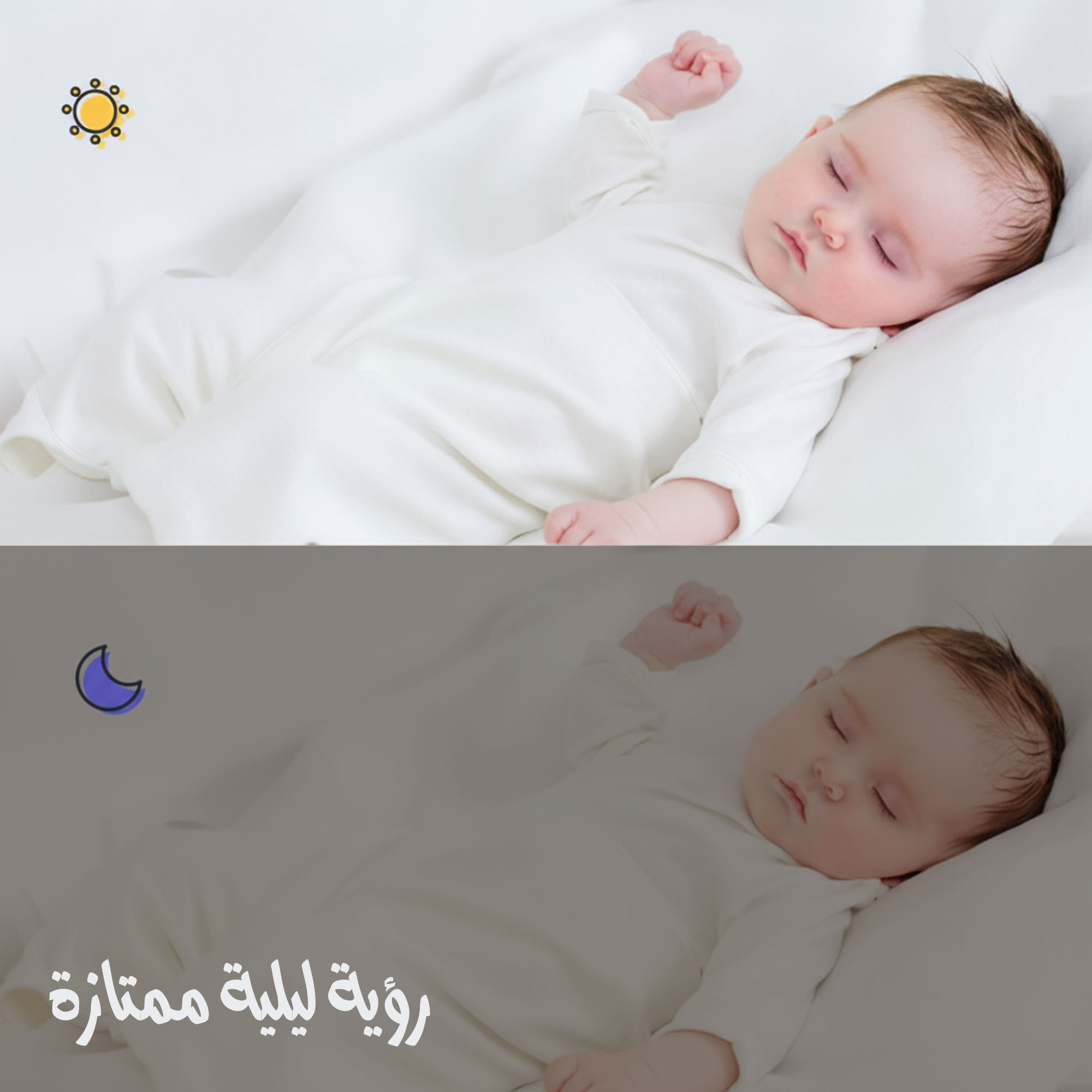 كاميرا دينكس ضمان عاميين - الصورة 2