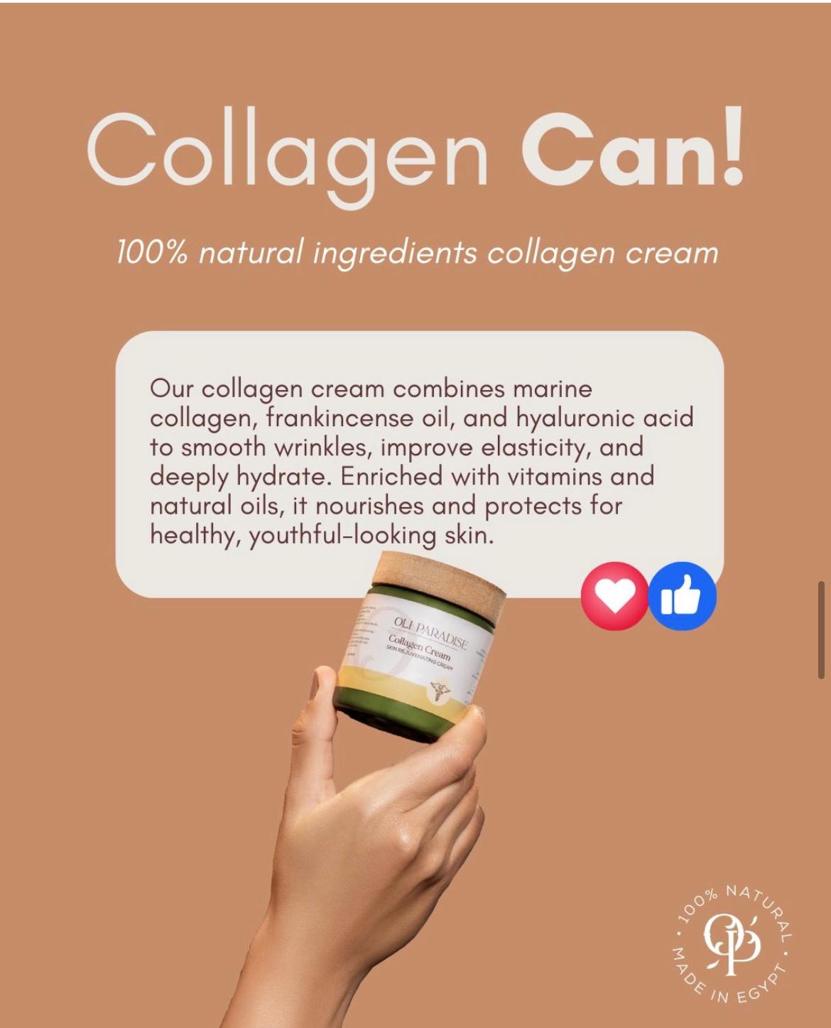 اولي باراديس كولاجين - الصورة 5